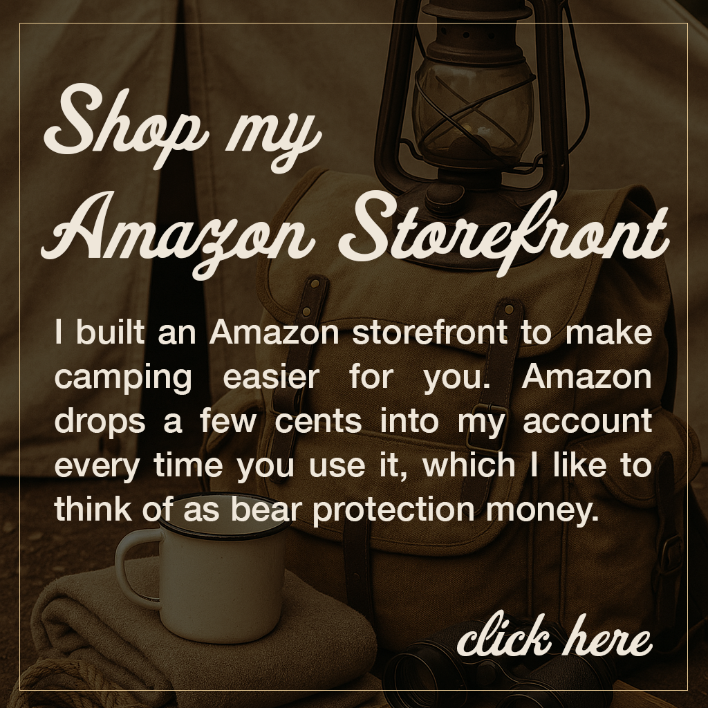 Shop my Amazon storefront